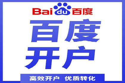 某大型企业选择SEM竞价代运营公司的决策过程与效果评估